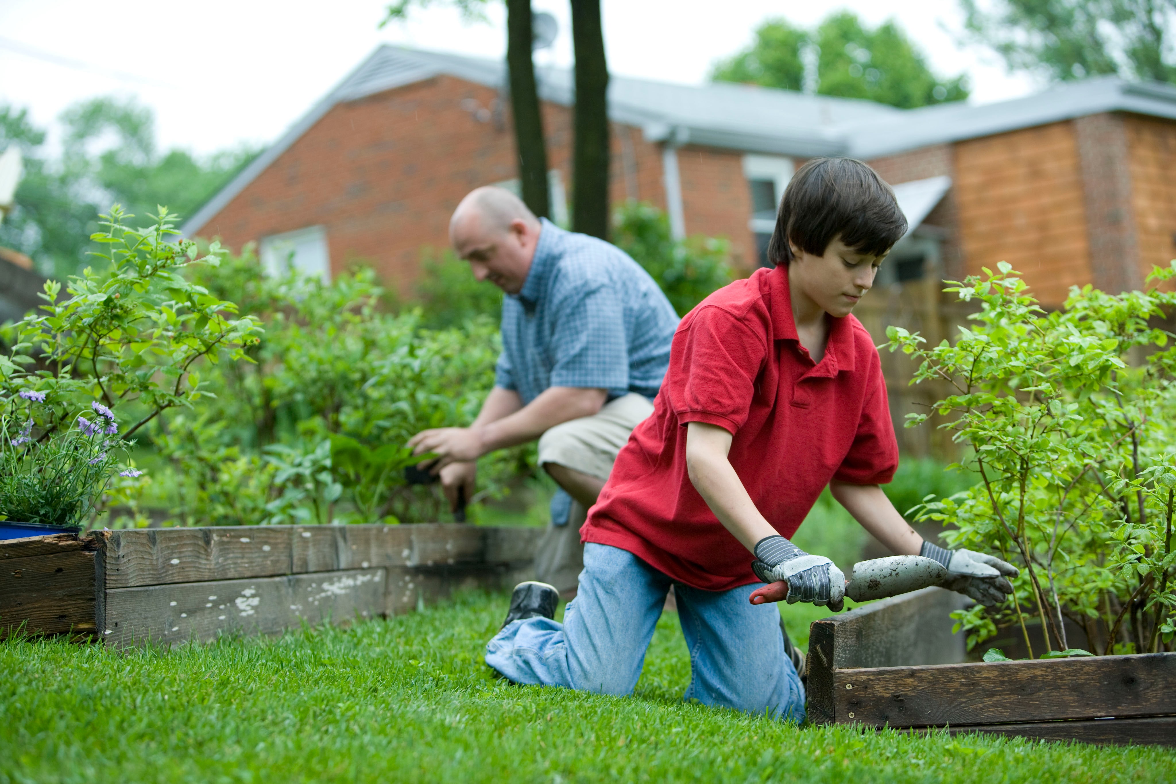 Getting Your Garden Ready For Summer