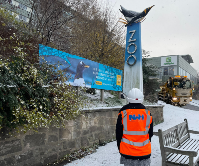 NWH staff gritting the zoo